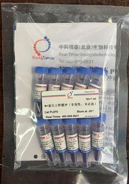 4×蛋白上樣緩沖（非變性，非還原）