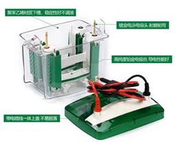 RT-Mini 4型電泳系統(tǒng)（槽+芯+副芯，配套伯樂用）